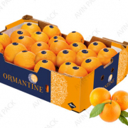 Orange carton box