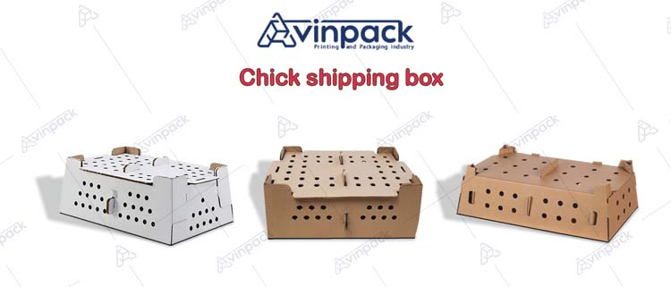 Chick shipping boxes