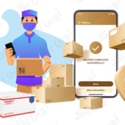 postal carton