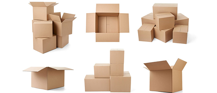 Determine appropriate box for products