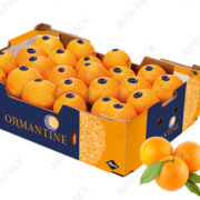 Orange carton box