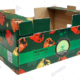 bell pepper cartons