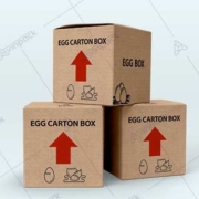 Exported egg cartons